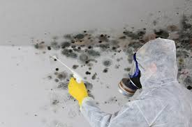 Best Commercial Mold Inspection  in Bloomfield, IA